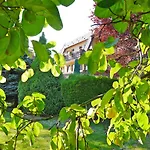Ringhotel Garni Pflug Szálloda Oberkirch