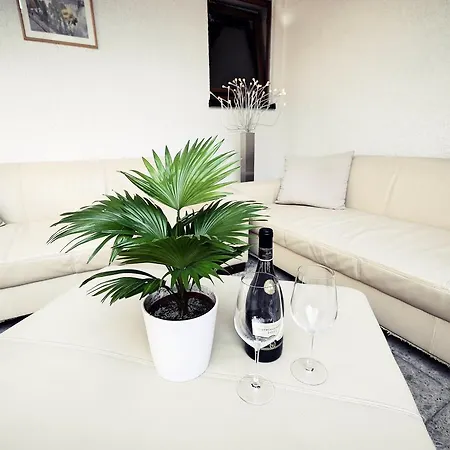 Ringhotel Garni Pflug Hotel 3*