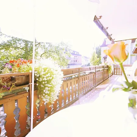 Ringhotel Pflug Hotel Oberkirch (Baden)