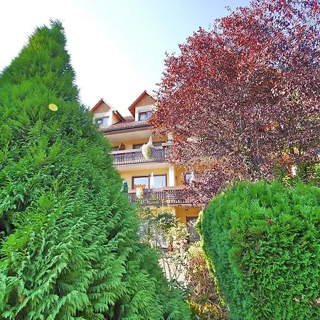 Ringhotel Garni Pflug 3*