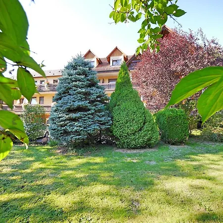 Ringhotel Garni Pflug Oberkirch (Baden)