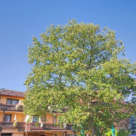 Hotel Ringhotel Pflug 3*