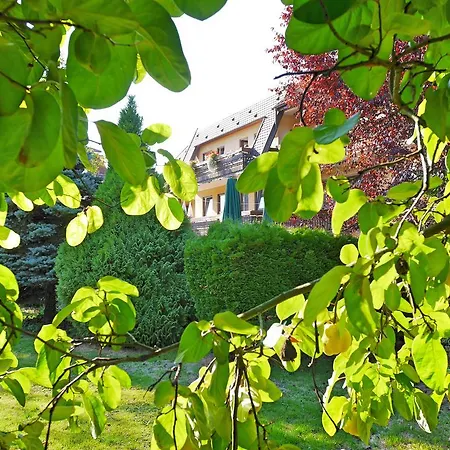 Ringhotel Garni Pflug Hotel Oberkirch (Baden)