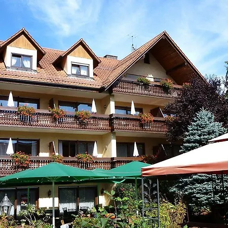 Ringhotel Garni Pflug 3*