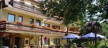 Ringhotel Garni Pflug Hotel 3*