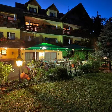 Hotel Ringhotel Garni Pflug