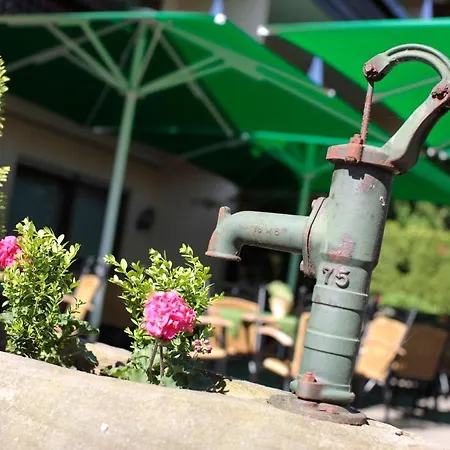 Ringhotel Garni Pflug Hotel