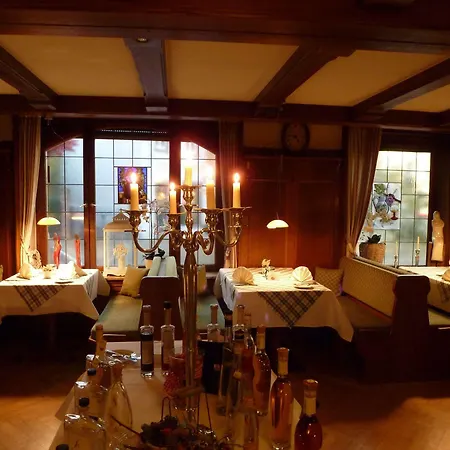 Ringhotel Garni Pflug Hotel Oberkirch (Baden)