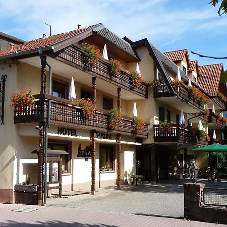 Ringhotel Garni Pflug Hotel