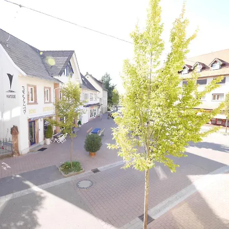 Ringhotel Garni Pflug 3*