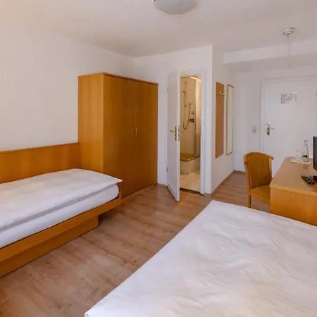 Ringhotel Pflug Hotel 3*