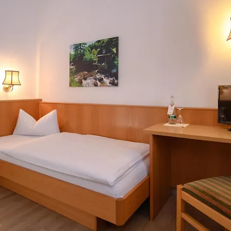 Ringhotel Garni Pflug 3*