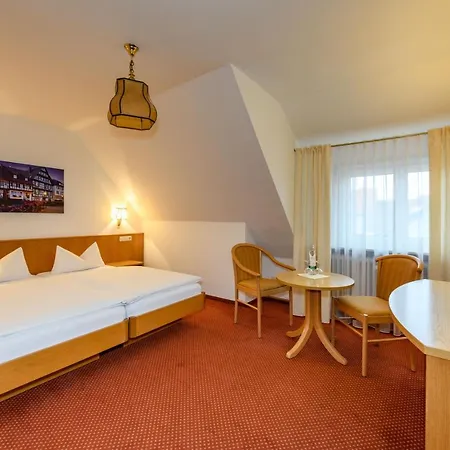 Ringhotel Garni Pflug Hotel 3*