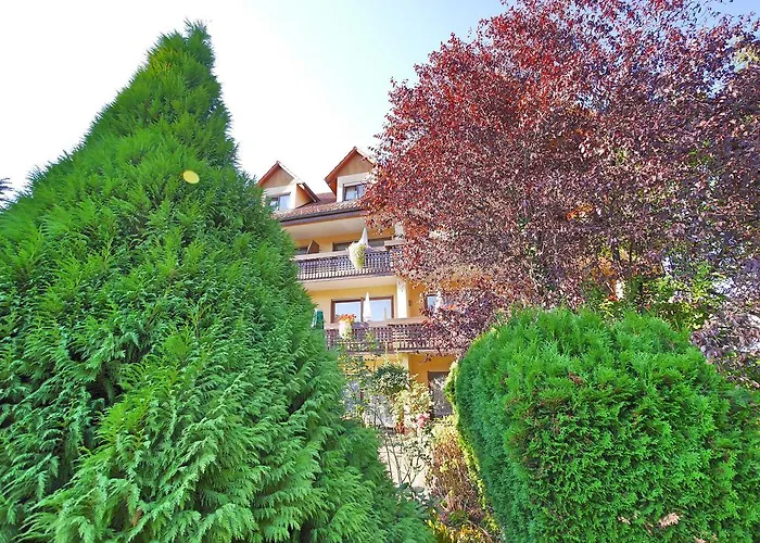 Ringhotel Garni Pflug 3*