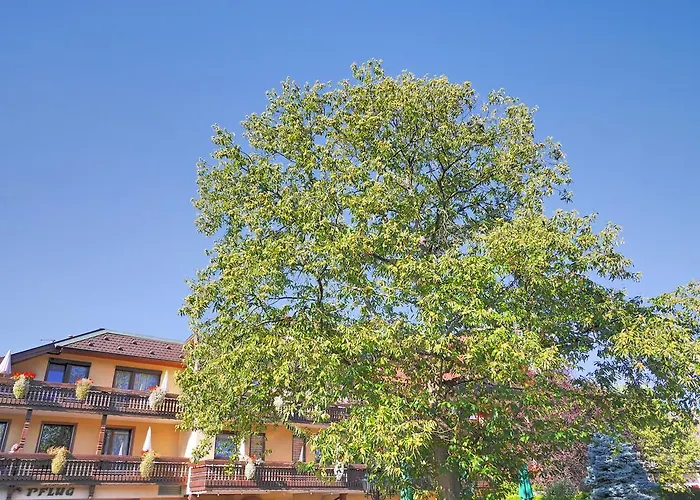 فندق Ringhotel Garni Pflug 3*