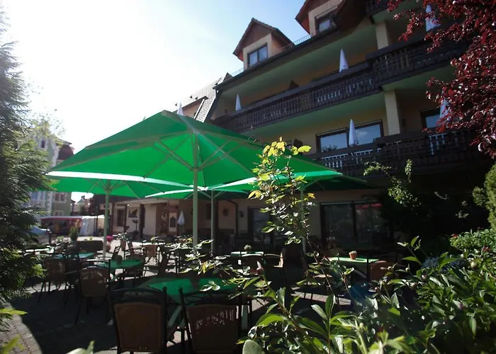 فندق Ringhotel Garni Pflug