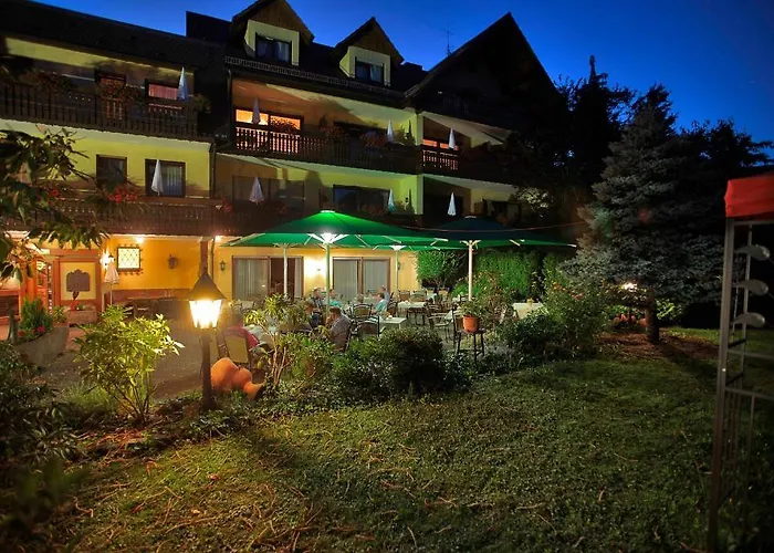 فندق Ringhotel Garni Pflug