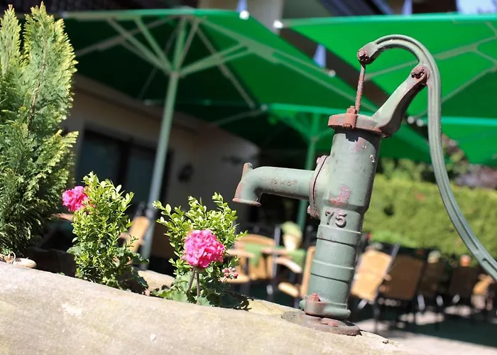 Ringhotel Garni Pflug فندق