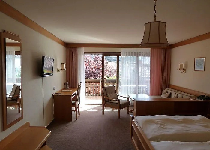 فندق Ringhotel Garni Pflug 3*