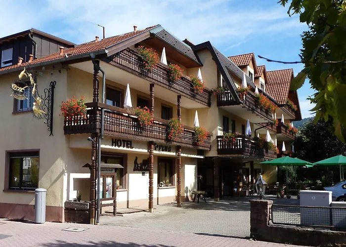 Ringhotel Garni Pflug فندق