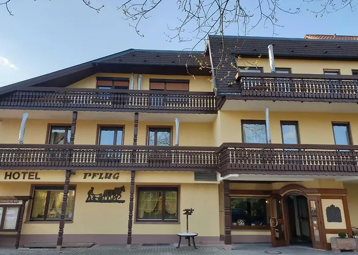 فندق Ringhotel Garni Pflug 3*