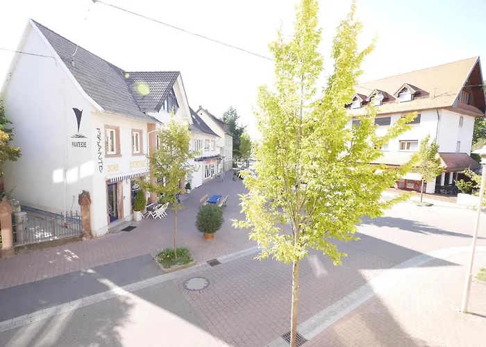 Ringhotel Garni Pflug 3*