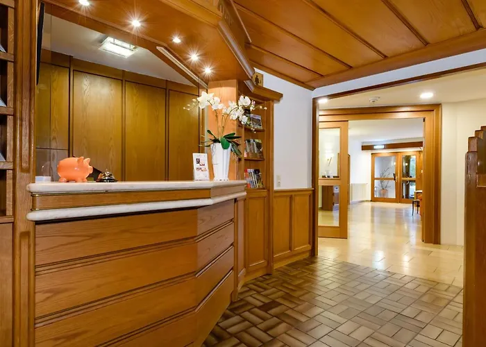 Ringhotel Garni Pflug فندق 3*