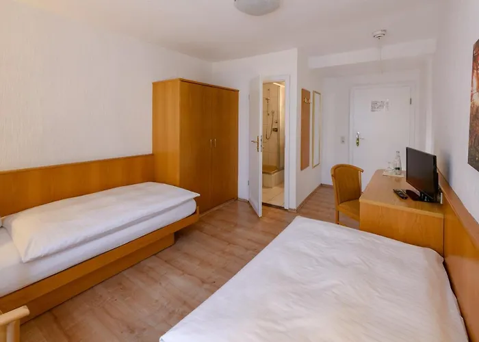 Ringhotel Garni Pflug فندق 3*