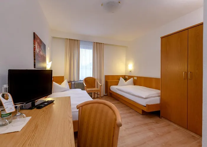 فندق Ringhotel Garni Pflug 3*