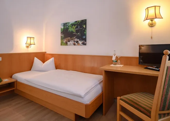 Ringhotel Garni Pflug 3*